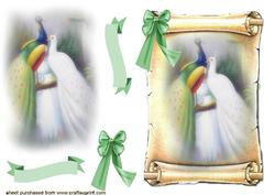 Beauty & Grace Peacocks on a Scroll
