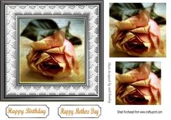 Pretty peach rose in pyramids with lace 7x7 frame