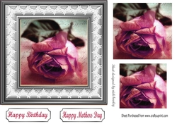 Pretty pink rose in pyramids with lace 7x7 frame