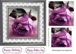 Pretty purple rose in pyramids with lace 7x7 frame
