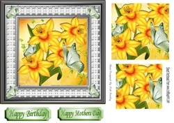 Pretty yellow daffodils in pyramids with lace 7x7 frame
