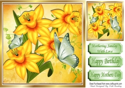 Pretty yellow daffodils with green butterflies 8x8