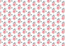 Pretty pink roses backing paper