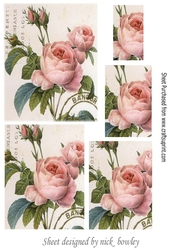 Pretty peach peonies with script pyramids