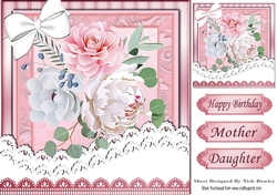 Pretty pink and white painted roses, white lace/white bow 8x8