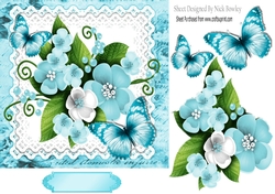 Pretty blue/white spring flowers on lace with script 7x7 frame