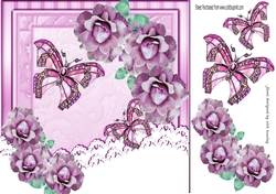 Pretty pink roses & lace with butterflies 8x8