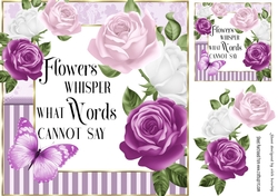 Pretty cerise/pink roses in striped frame with script 8x8