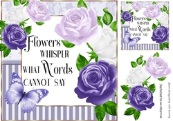 Pretty purple roses in striped frame with script 8x8