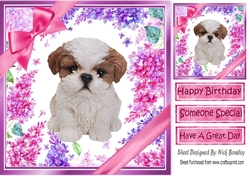 Gorgeous little puppy (one) with bows and flowers 8x8