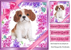 Gorgeous little puppy (four) with bows  and flowers 8x8