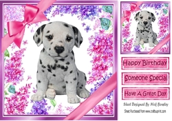 Gorgeous little puppy (five) with bows and flowers 8x8