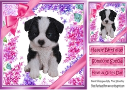 Gorgeous little puppy (six) with bows and flowers 8x8