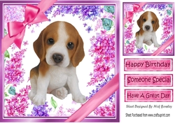 Gorgeous little beagle puppy with bows and flowers 8x8