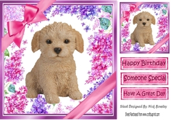 Gorgeous little Labradoodle puppy with bows and flowers 8x8