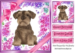 Gorgeous little Schnauzer puppy with bows and flowers 8x8