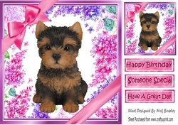 Gorgeous little yorki puppy with bows and flowers 8x8