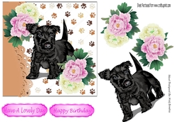 cute scottie puppy with pink/white peonies 7x7