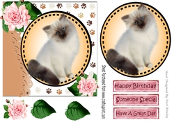 Sweet little siamese kitten with pink roses card front 7x7 with topper