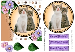 Sweet pair of fluffy kittens with purple/pinkflowers card front 7x7 with topper