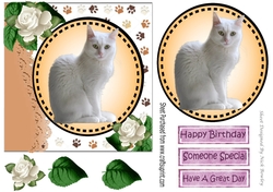 Sweet white kitten with white roses card front 7x7 with topper