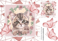 Sweet Kitten in frame of Abstract , flowers and butterflies 8x8