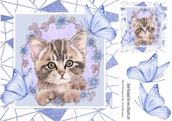 Sweet Kitten in frame of Abstract , flowers and blue butterflies 8x8