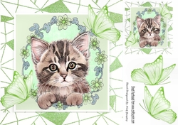 Sweet Kitten in frame of Abstract , flowers and green butterflies 8x8