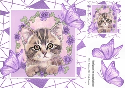 Sweet Kitten in frame of Abstract , flowers and purple butterflies 8x8