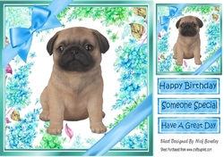 lovely little pug puppy (one) with blue bows and flowers 8x8