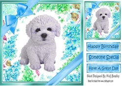 lovely little Bichon puppy (two) with blue bows and flowers 8x8