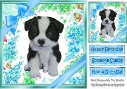 lovely little collie puppy (three) with blue bows  and flowers 8x8