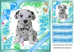 lovely little dalmation puppy (four) with blue bows  and flowers 8x8
