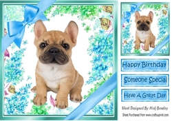 lovely little french bulldog puppy (five) with blue bows  and flowers 8x8