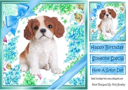 lovely little cavalier puppy (seven) with blue bows  and flowers 8x8