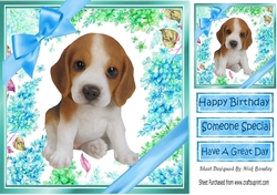 lovely little beagle puppy (nine) with blue bows and flowers 8x8