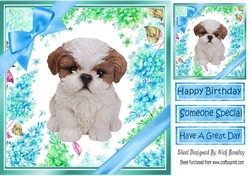 lovely little shitzu puppy (ten) with blue bows and flowers 8x8