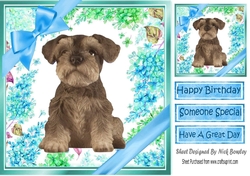 lovely little Schnauzer puppy (eleven) with blue bows  and flowers 8x8