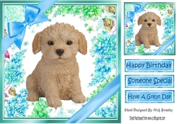 lovely little labradoodle puppy (twelve) with blue bows and flowers 8x8