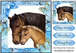 Moment with mum and baby foal with butterflies 8x8