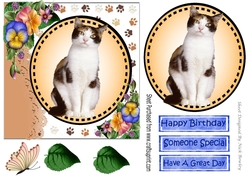 Sweet white/tan/black kitten with pretty flowers card front 7x7 with topper
