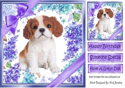 Gorgeous little cavalier puppy with purple bows and flowers 8x8