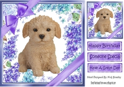 Gorgeous little labradoodle puppy with purple bows and flowers 8x8