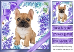 Gorgeous little french bulldog puppy with purple bows and flowers 8x8