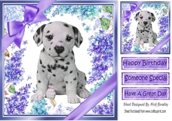 Gorgeous little dalmation puppy with bows and flowers 8x8