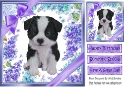 Gorgeous little dalmation puppy with purple bows and flowers 8x8