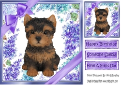 Gorgeous little yorki puppy with purple bows and flowers 8x8