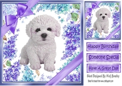 Gorgeous little bichon puppy with purple bows and flowers 8x8