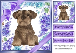 Gorgeous little Schnauzer puppy with purple bows and flowers 8x8