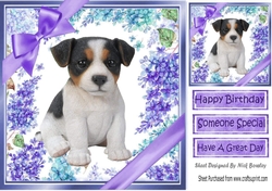 Gorgeous little jack russel puppy with purple bows and flowers 8x8